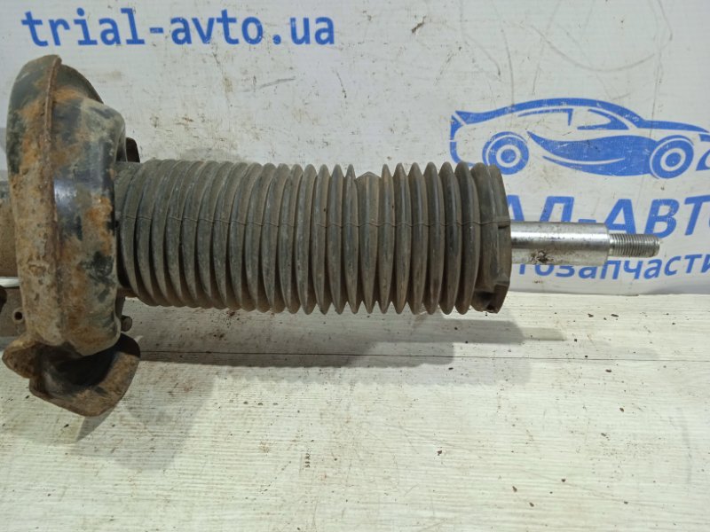 Амортизатор передний левый передний левый Ford Focus MK3