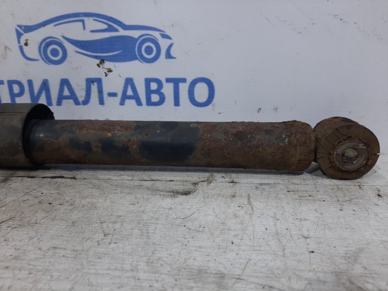 Амортизатор задний Nissan Tiida C11 1.6 Бензин HR16 МКПП