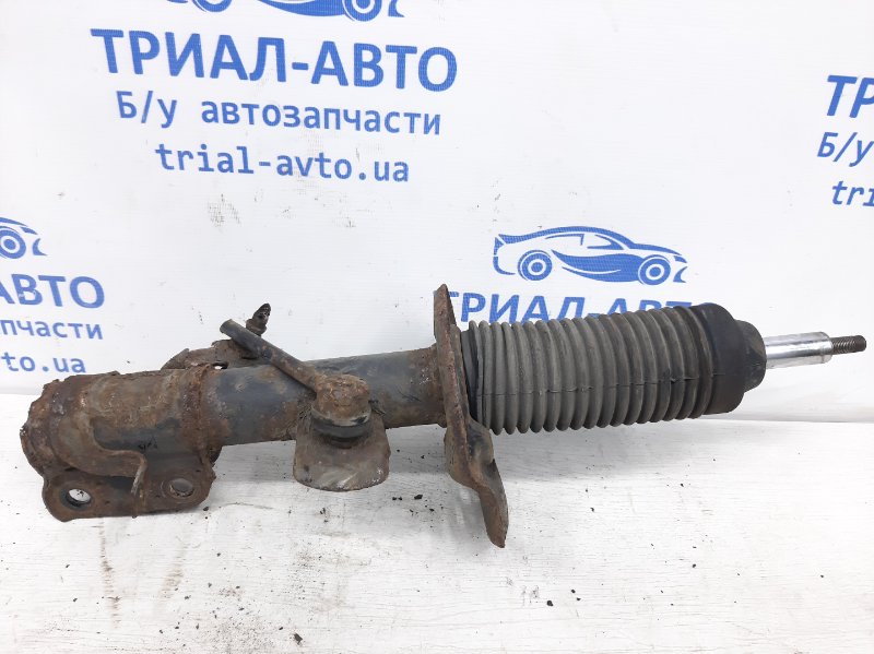 Амортизатор передний правый Nissan Juke 2010-2019 F15 1.6 turbo MR16DDT E43021KC2A Б/У