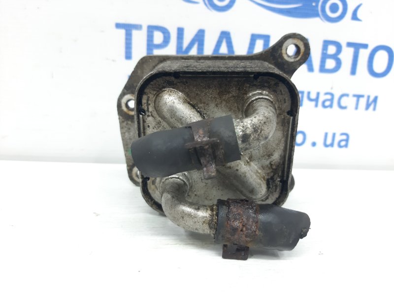 Запчасть радиатор масляный двс (теплообменник) Nissan Juke 2010-2019 F15 1.6 turbo MR16DDT 213051KC0B Б/У Радиатор масляный ДВС (теплообменник) Nissan Juke 2010-2019 F15 1.6 turbo MR16DDT 213051KC0B Б/У