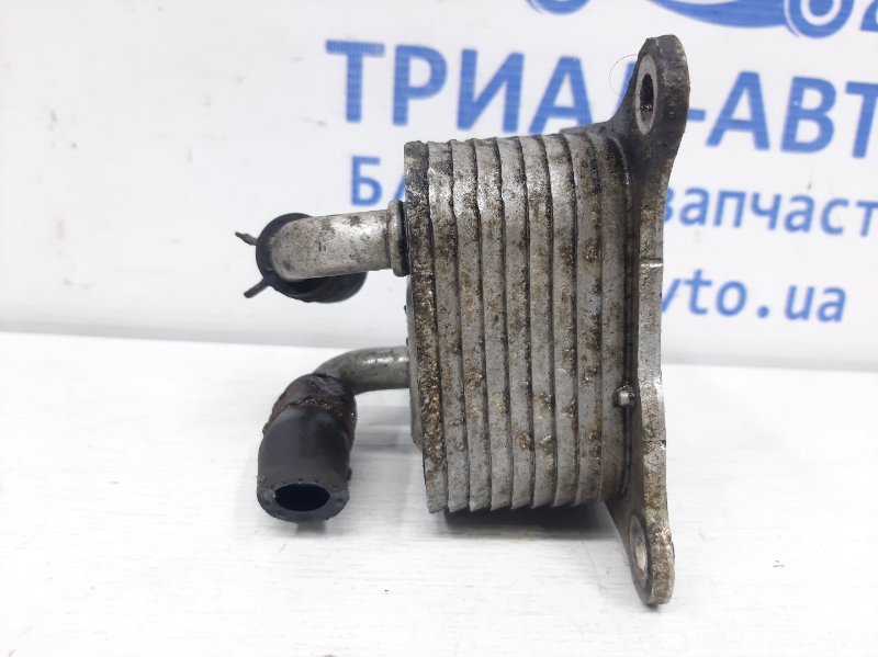 Радиатор масляный ДВС (теплообменник) Juke 2010-2019 F15 1.6 turbo MR16DDT Радиатор масляный ДВС (теплообменник) Juke 2010-2019 F15 1.6 turbo MR16DDT