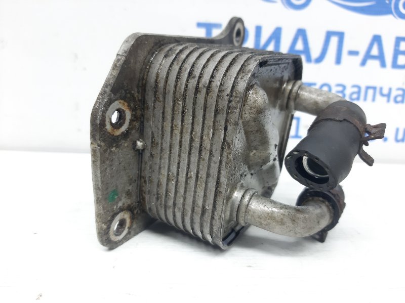 Радиатор масляный ДВС (теплообменник) Juke 2010-2019 F15 1.6 turbo MR16DDT Радиатор масляный ДВС (теплообменник) Juke 2010-2019 F15 1.6 turbo MR16DDT