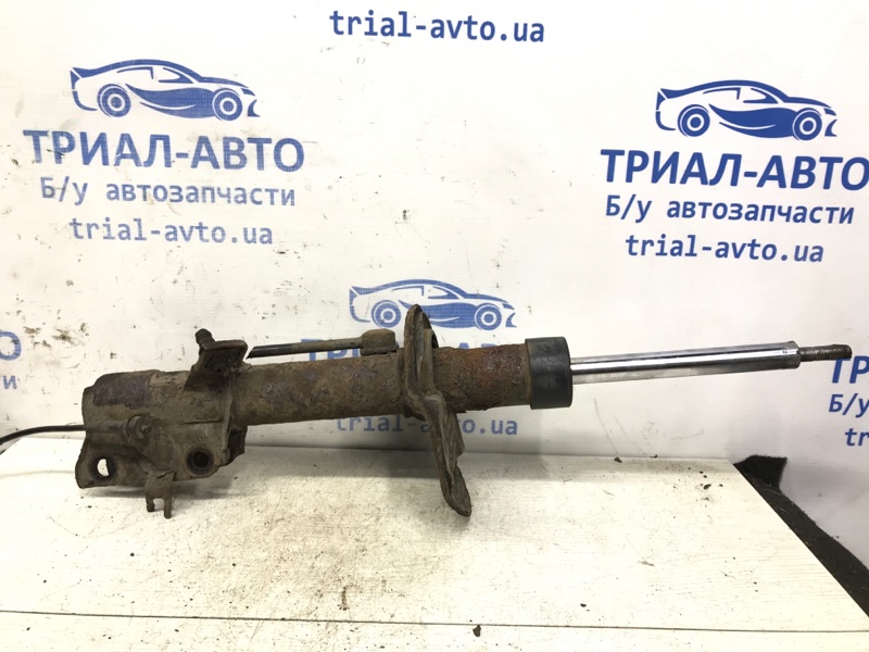 Амортизатор передний правый Nissan X-Trail 2007-2014 T31 2.5 бензин QR25DE E4302JG01A Б/У
