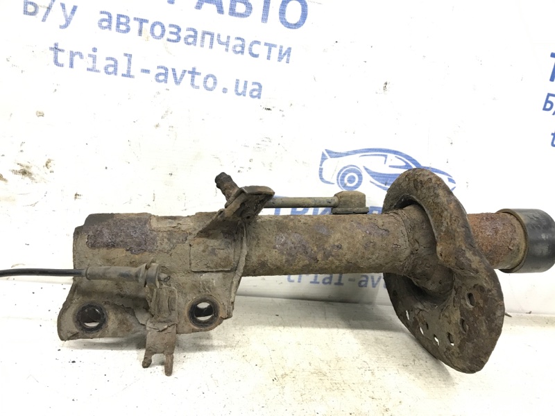 Амортизатор передний правый X-Trail 2007-2014 T31 2.5 бензин QR25DE