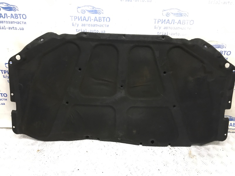 Обшивка капота SsangYong Kyron 2005-2016 DJ 2.0 diesel D20Dt 7116109002 Б/У