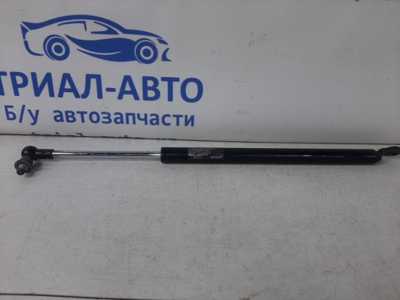 Амортизатор крышки багажника Grand Vitara 2005-2016 JT 2.0 Бензин J20A Амортизатор крышки багажника Grand Vitara 2005-2016 JT 2.0 Бензин J20A