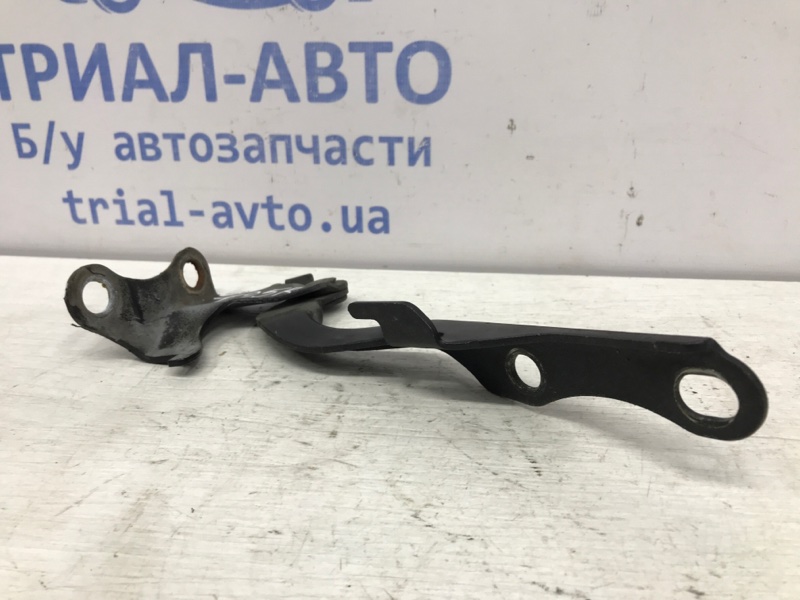 Петля капота правая Avensis 2003-2009 T25 1.8 бензин 1ZZFE