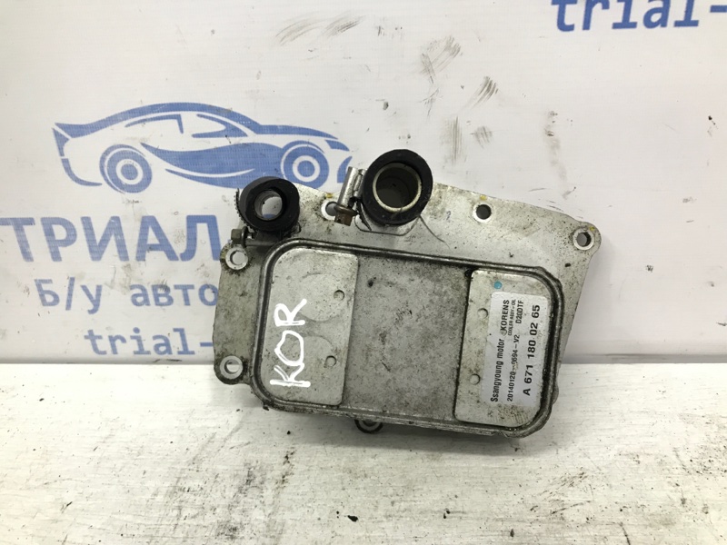 Радиатор масляный ДВС (теплообменник) SsangYong Korando 2010-2019 C200 2.0 diesel D20Dt A6711800265 Б/У