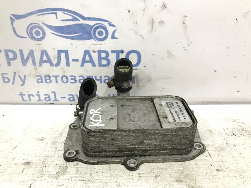 Радиатор масляный ДВС (теплообменник) Korando 2010-2019 C200 2.0 diesel D20Dt