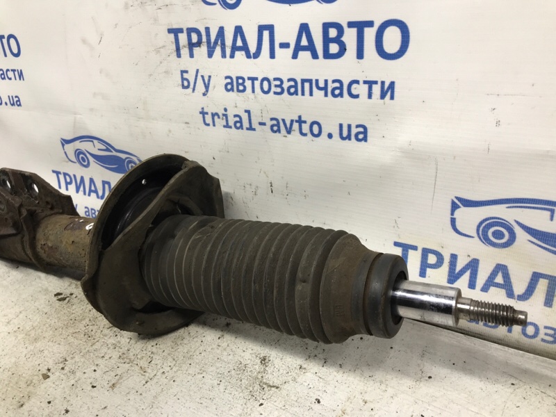 Амортизатор передний правый Captiva 2011-2018 C140 2.2 Дизель