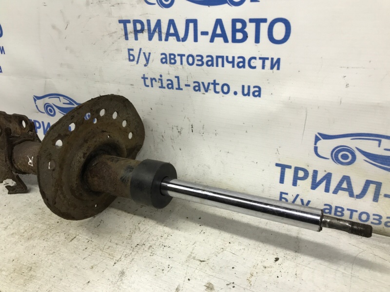 Амортизатор передний правый X-Trail 2007-2014 T31 2.0 Diesel M9R