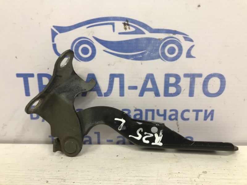 Запчасть петля капота левая Toyota Avensis 2003-2009 T25 1.8 бензин 1ZZFE 5342005060 Б/У Петля капота левая Toyota Avensis 2003-2009 T25 1.8 бензин 1ZZFE 5342005060 Б/У