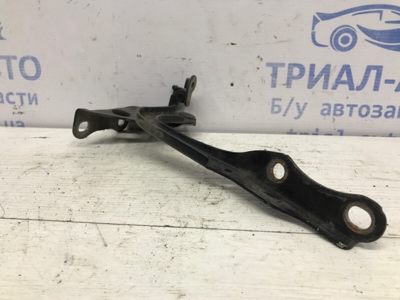 Петля капота левая RAV 4 2006-2013 A30 2.0 бензин 1AZFE Петля капота левая RAV 4 2006-2013 A30 2.0 бензин 1AZFE