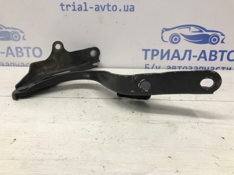 Петля капота правая Kia Sportage SL 2.0 diesel D4HA Петля капота правая Kia Sportage SL 2.0 diesel D4HA