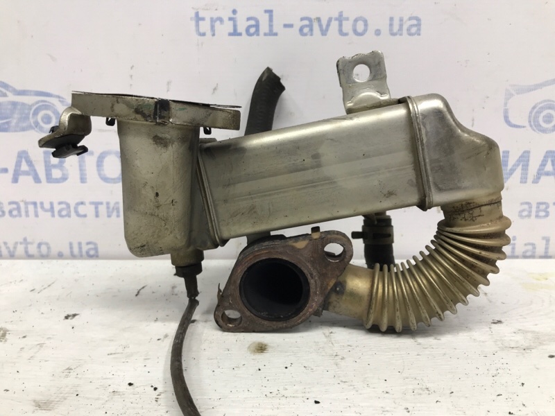 Радиатор EGR Nissan X-Trail T32 1.6 diesel R9M