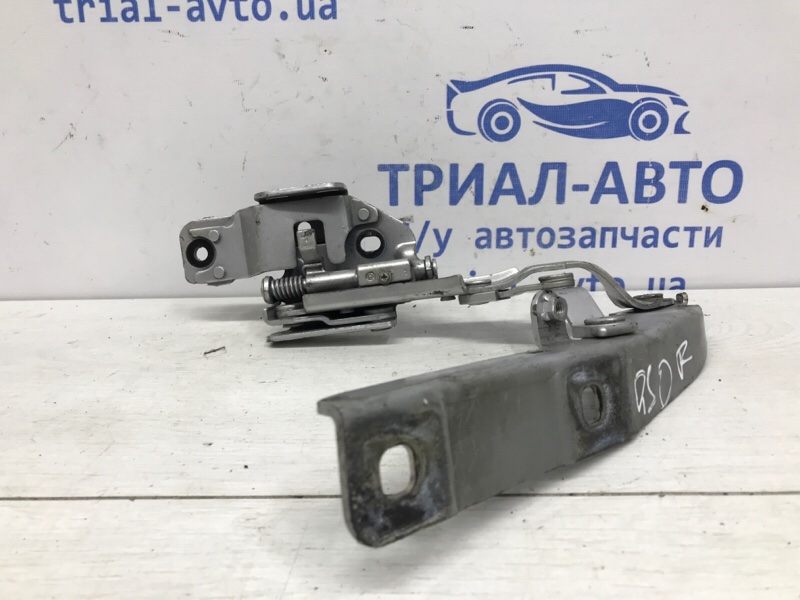Петля капота правая Q50 2013- V37 2.2 diesel OM651