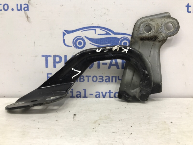 Петля капота левая Ford Kuga 2013-2019 CBS 2.0 diesel 1750018 Б/У