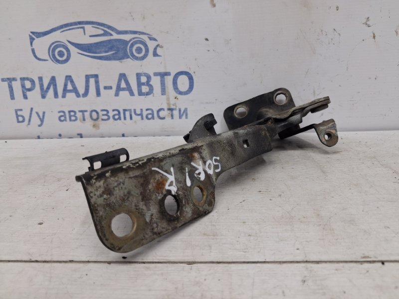 Петля капота правая Kia Sorento BL 2.5 diesel D4CB