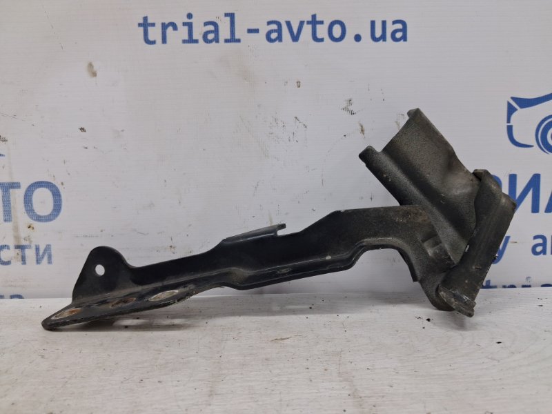 Петля капота левая Kia Sorento 2002-2009 BL 2.5 diesel D4CB 791103E000 Б/У