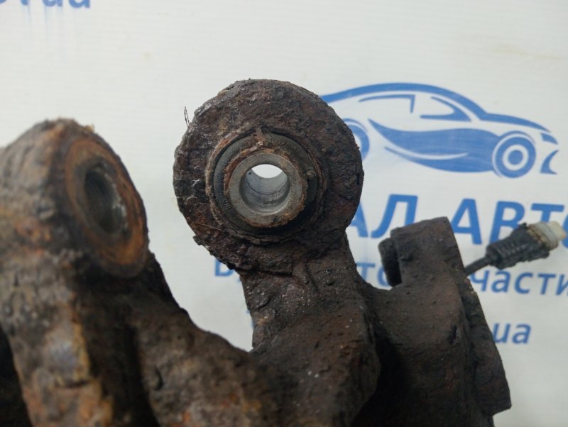 Цапфа задняя левая со ступицей Captiva 2006-2011 C100 2.4 бензин Z24SED