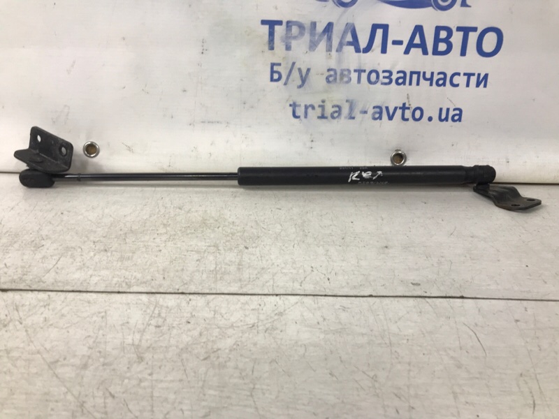 Амортизатор крышки багажника SsangYong Rexton 2006-2012 Y250 2.7 D27DT 7140608101 Б/У