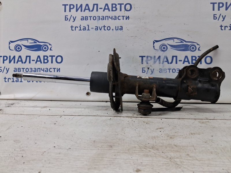 Амортизатор передний правый Kia Ceed 2012-2018 JD 1.6 diesel D4FB 54661A2150 Б/У