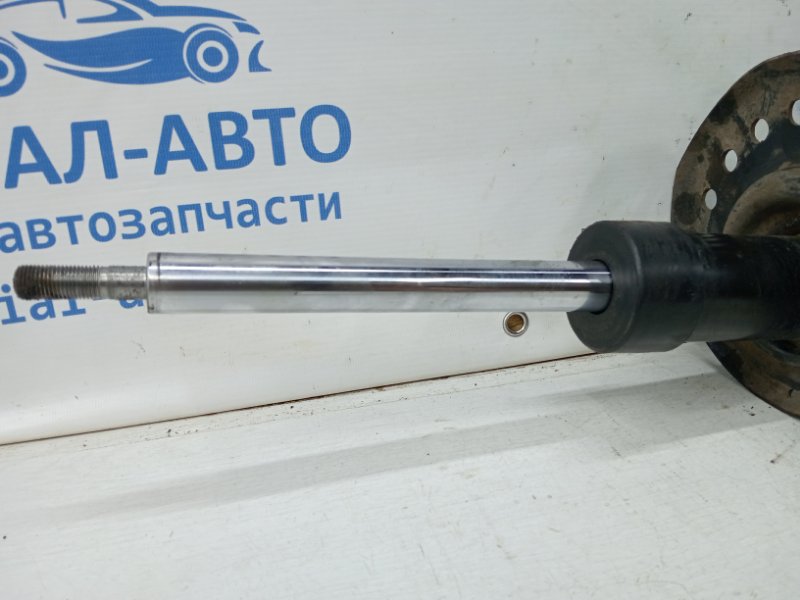 Амортизатор передний левый X-Trail 2007-2015 T31 2.0 Diesel M9R