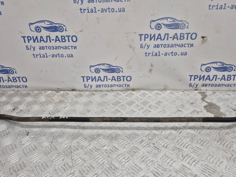 Стабилизатор задний Rexton 2006-2012 Y250 2.7 D27DT