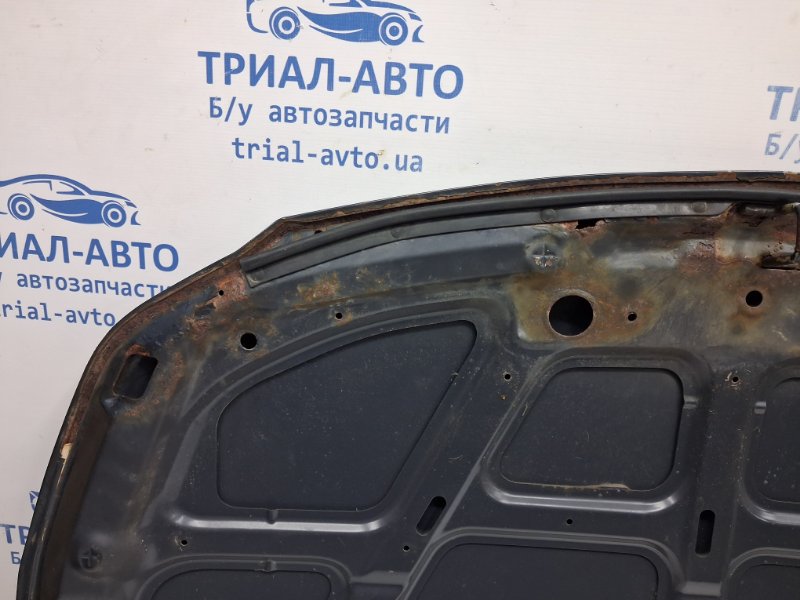 Капот SX4 2006-2014 1 2.0 Бензин J20A