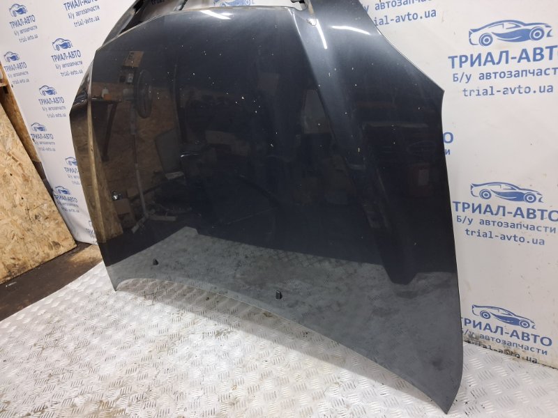 Капот Lexus RX 350 XU30 3.5 Бензин 2GRFE Капот Lexus RX 350 XU30 3.5 Бензин 2GRFE