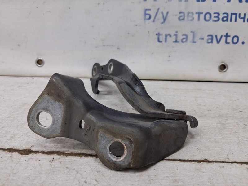 Петля капота правая RX 350 2003-2009 XU30 3.5 Бензин 2GRFE Петля капота правая RX 350 2003-2009 XU30 3.5 Бензин 2GRFE