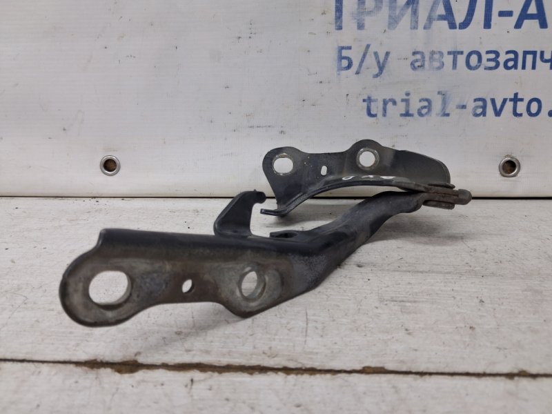 Петля капота правая Lexus RX 350 XU30 3.5 Бензин 2GRFE Петля капота правая Lexus RX 350 XU30 3.5 Бензин 2GRFE