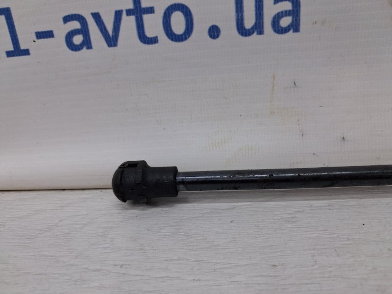 Амортизатор капота Lexus RX 350 XU30 3.5 Бензин 2GRFE Амортизатор капота Lexus RX 350 XU30 3.5 Бензин 2GRFE