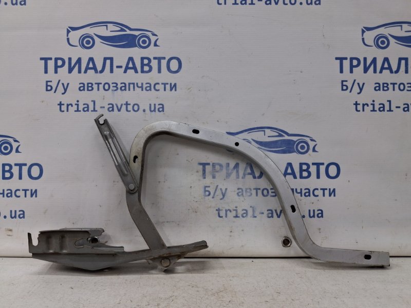 Петля крышки багажника Toyota Camry 2006-2011 XV40 2.4 Бензин 2AZFE 6451033060 Б/У