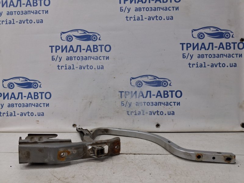 Петля крышки багажника Camry 2006-2011 XV40 2.4 Бензин 2AZFE