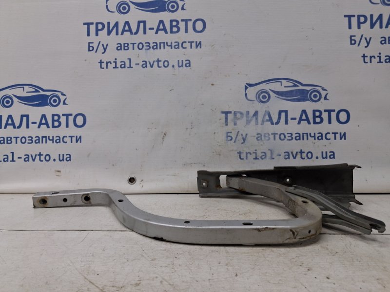 Петля крышки багажника Toyota Camry XV40 2.4 Бензин 2AZFE