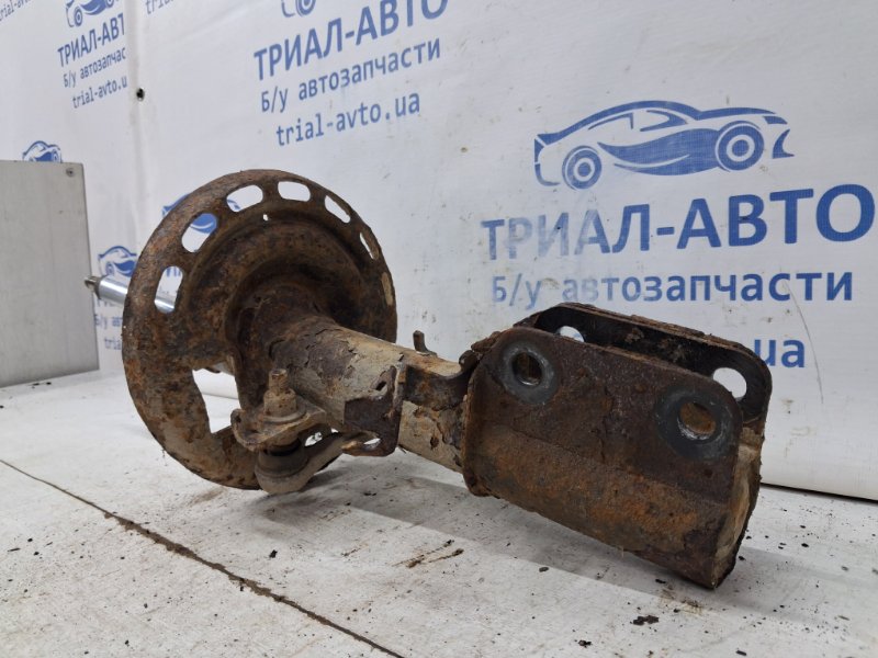 Амортизатор Передний Renault Megane 3 1.5 Diesel K9K