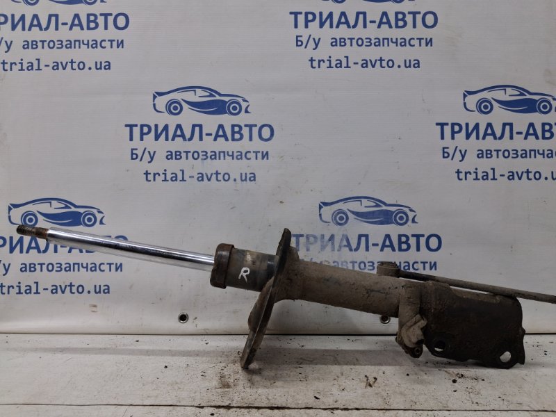 Амортизатор задний правый Camry 2006-2011 XV40 2.4 Бензин 2AZFE