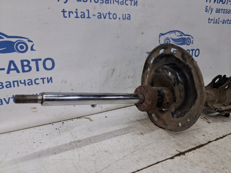 Амортизатор передний левый левый Camry 2006-2011 XV40 2.4 Бензин 2AZFE