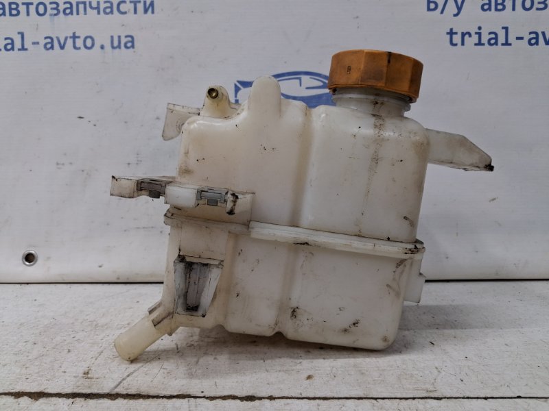 Бачок радиатора (расширительный) Chevrolet Captiva C140 2.2 diesel Z22D1 Бачок радиатора (расширительный) Chevrolet Captiva C140 2.2 diesel Z22D1