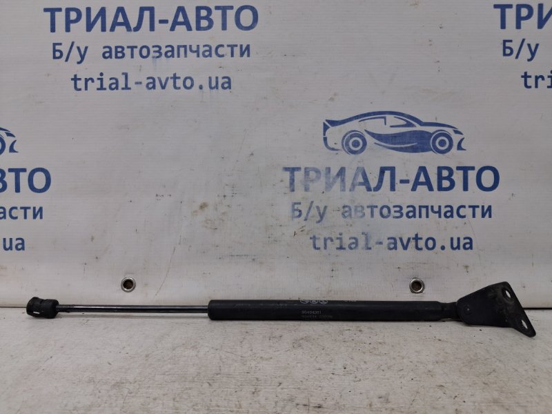 Запчасть амортизатор крышки багажника Chevrolet Captiva 2006-2018 C140 2.2 diesel Z22D1 95494361 Б/У Амортизатор крышки багажника Chevrolet Captiva 2006-2018 C140 2.2 diesel Z22D1 95494361 Б/У