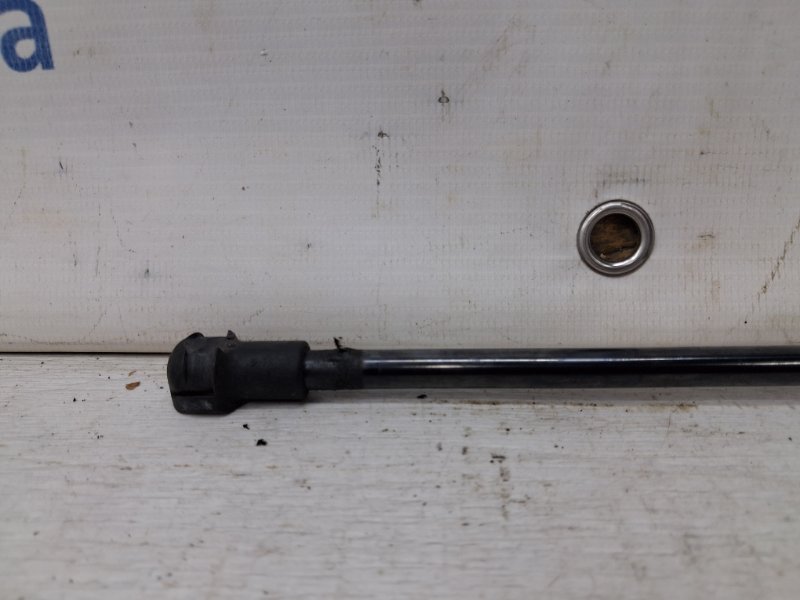 Амортизатор крышки багажника Qashqai 2013-2022 J11 1.2 Бензин HRA2DDT Амортизатор крышки багажника Qashqai 2013-2022 J11 1.2 Бензин HRA2DDT