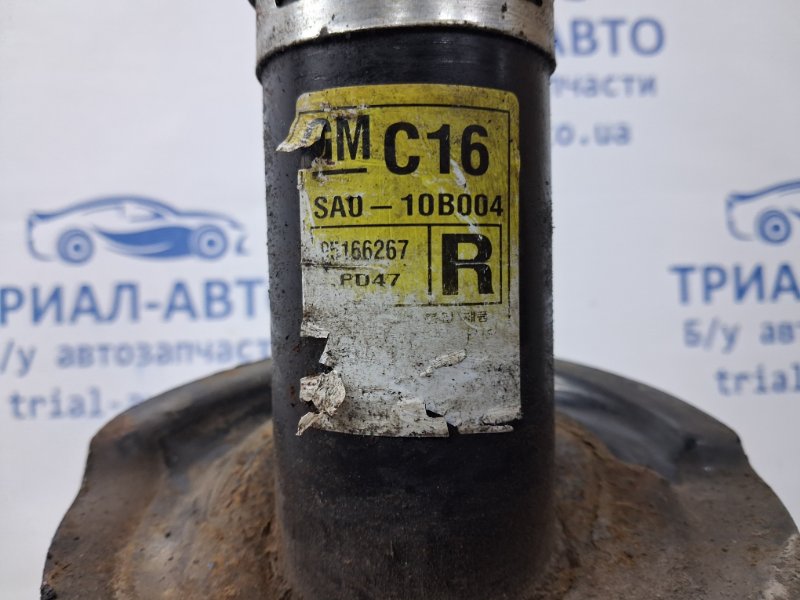 Амортизатор передний правый Captiva 2006-2018 C140 2.2 diesel Z22D1 Амортизатор передний правый Captiva 2006-2018 C140 2.2 diesel Z22D1