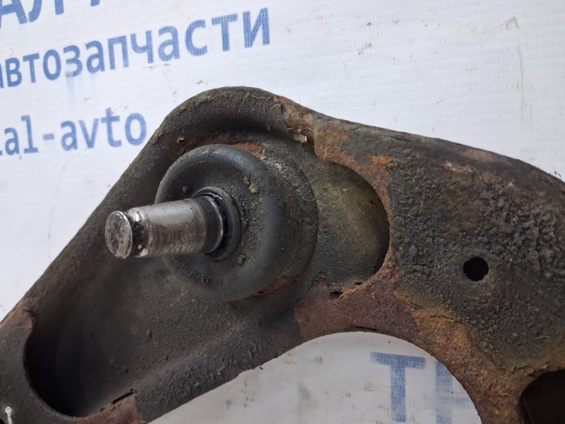 Рычаг передний верхний правый Pathfinder 2004-2014 R51 2.5 Diesel YD25DDTI Рычаг передний верхний правый Pathfinder 2004-2014 R51 2.5 Diesel YD25DDTI