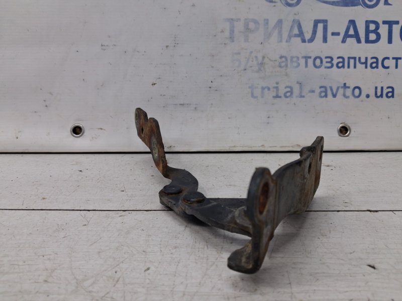 Петля капота левая Hyundai Sonata NF 2.4 бензин G4KC Петля капота левая Hyundai Sonata NF 2.4 бензин G4KC