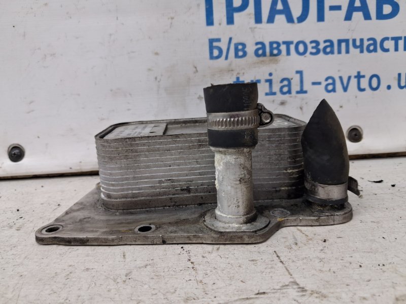 Радиатор масляный ДВС (теплообменник) Korando 2010-2019 C200 2.0 diesel D20Dt