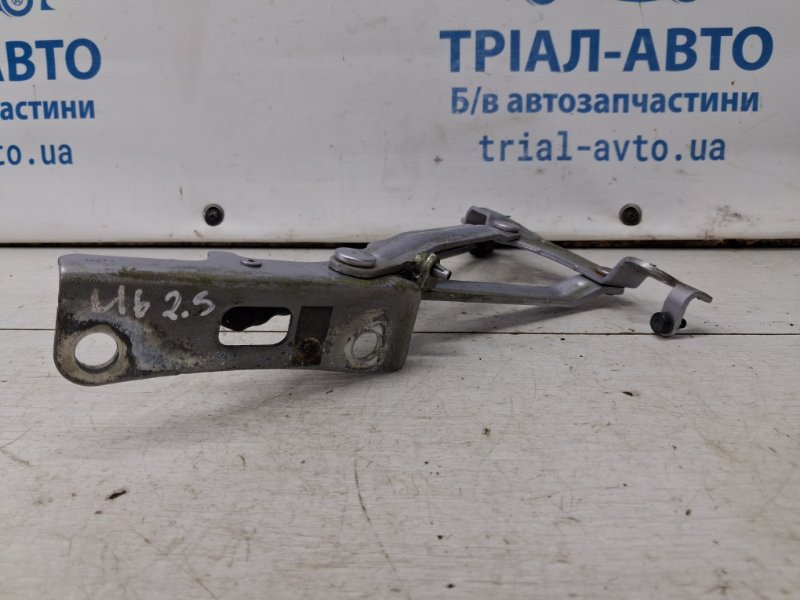 Петля крышки багажника левая Mazda 6 GH 2.5 бензин L5-VE