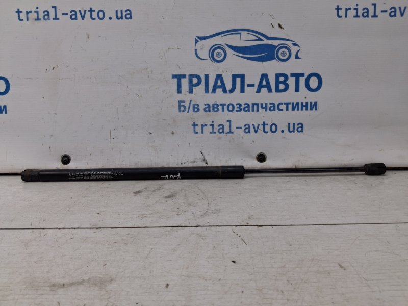 Амортизатор крышки багажника правый SsangYong Korando 2010-2019 C200 2.0 diesel D20Dt 7146034002 Б/У
