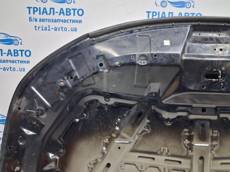 Капот Sorento 2009-2014 XM 2.2 diesel D4HB