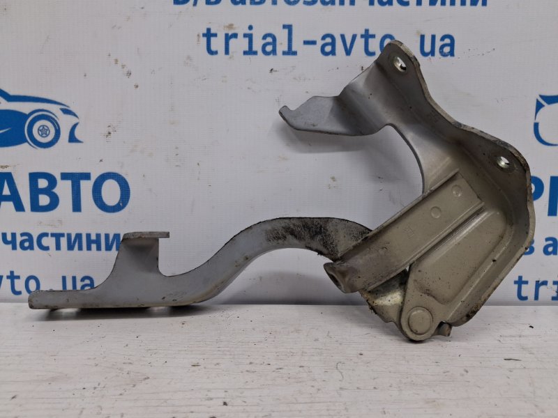Петля капота правая Chevrolet Captiva 2006-2018 C140 2.2 diesel Z22D1 95049937 Б/У